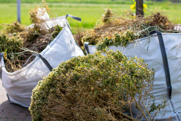 Full-Service Junk Removal in Long Beach, MS